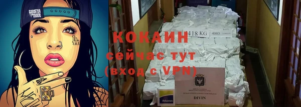 гашик Арсеньев