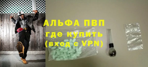 гашик Арсеньев