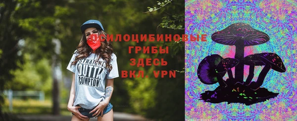 гашик Арсеньев