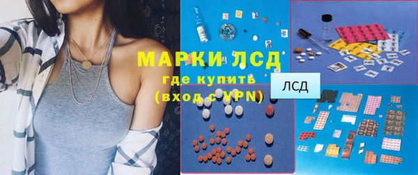 гашик Арсеньев