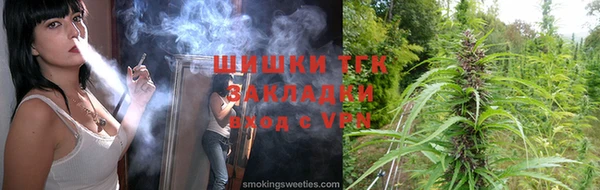 гашик Арсеньев