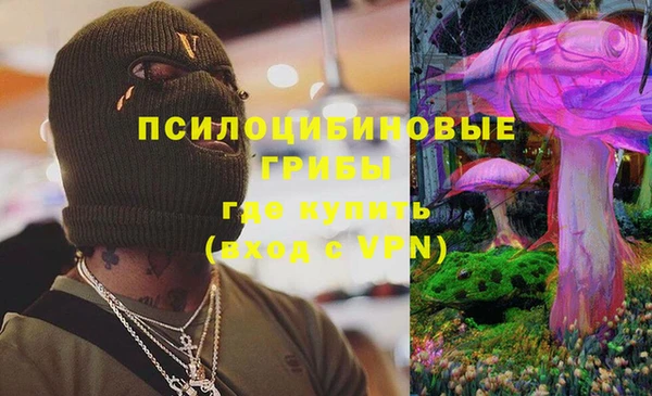 гашик Арсеньев
