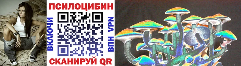 Купить  Осинники  Галлюциногенные грибы Psilocybe 